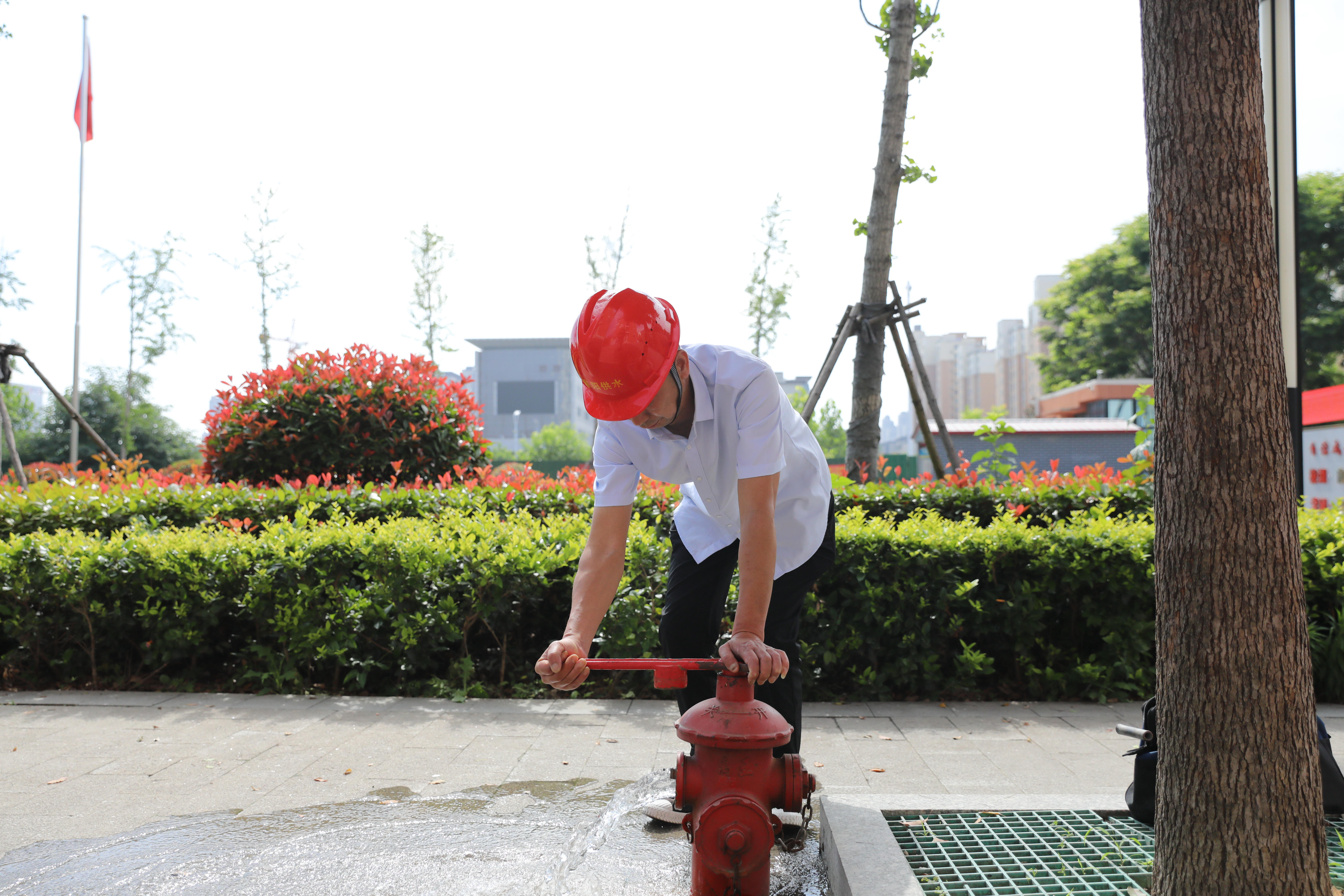 1685692468a486858.jpg 1685692468a486858.jpg