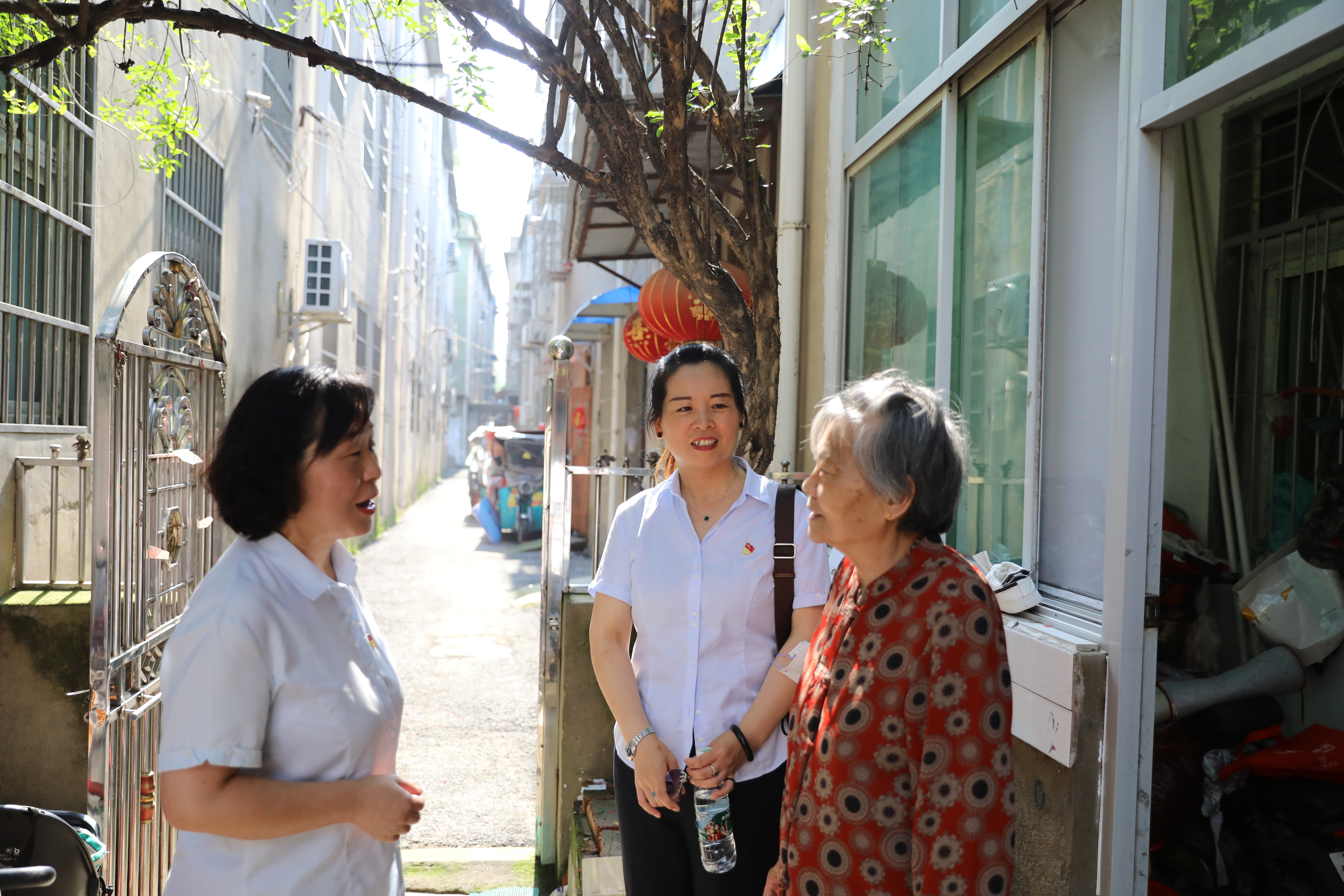 1686557006a653254.jpg 1686557006a653254.jpg