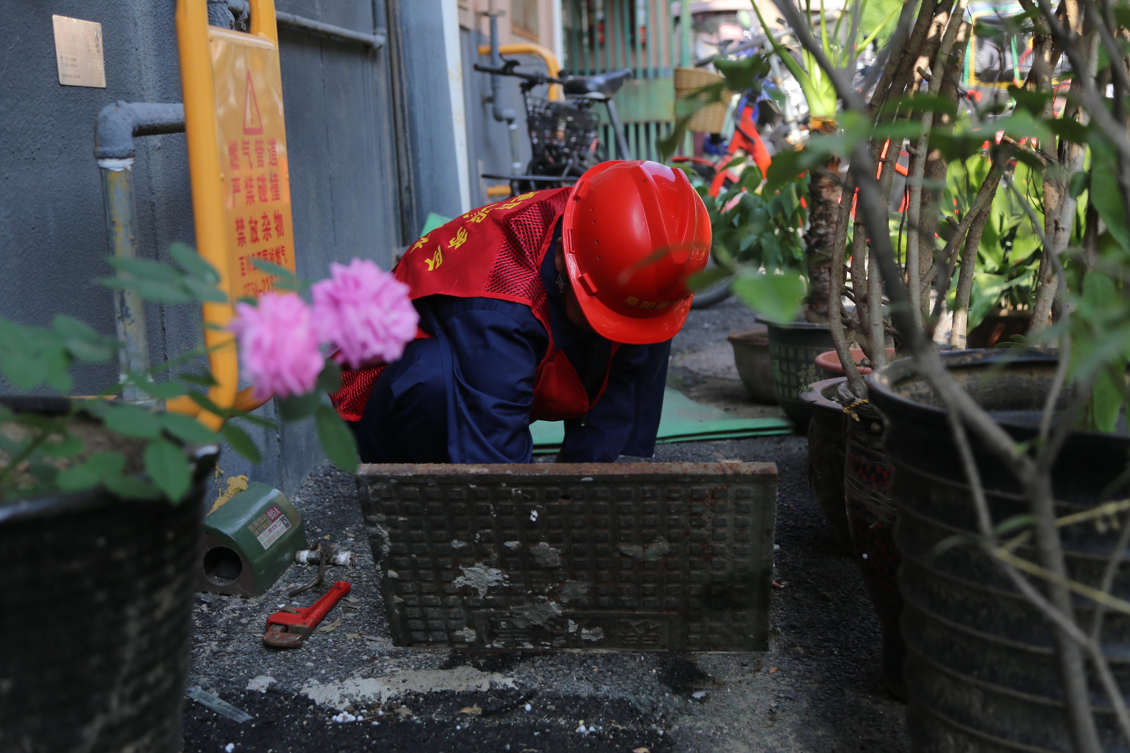 1714537454a947113.jpg 1714537454a947113.jpg