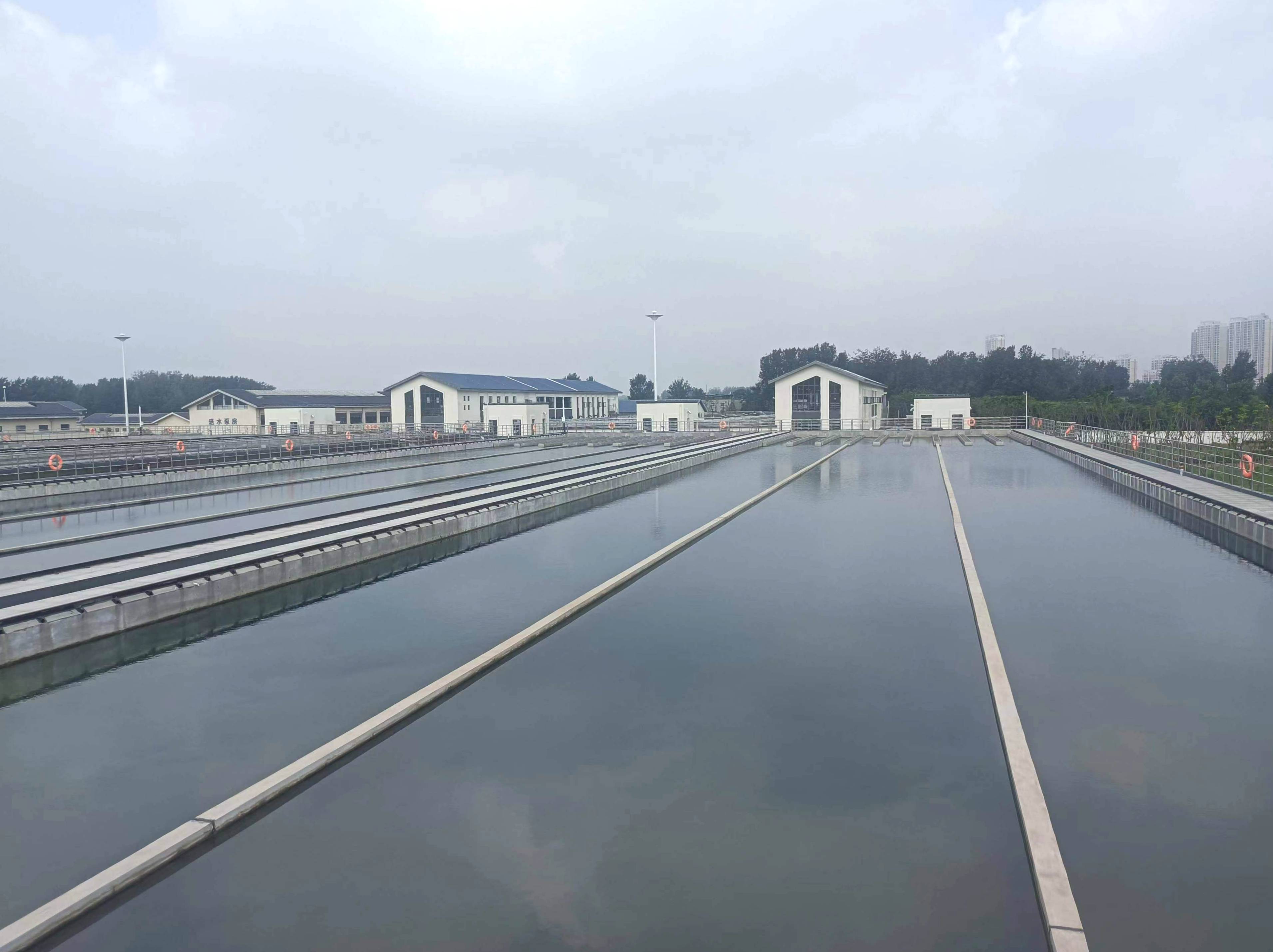 1719452224a549132.jpg 1719452224a549132.jpg