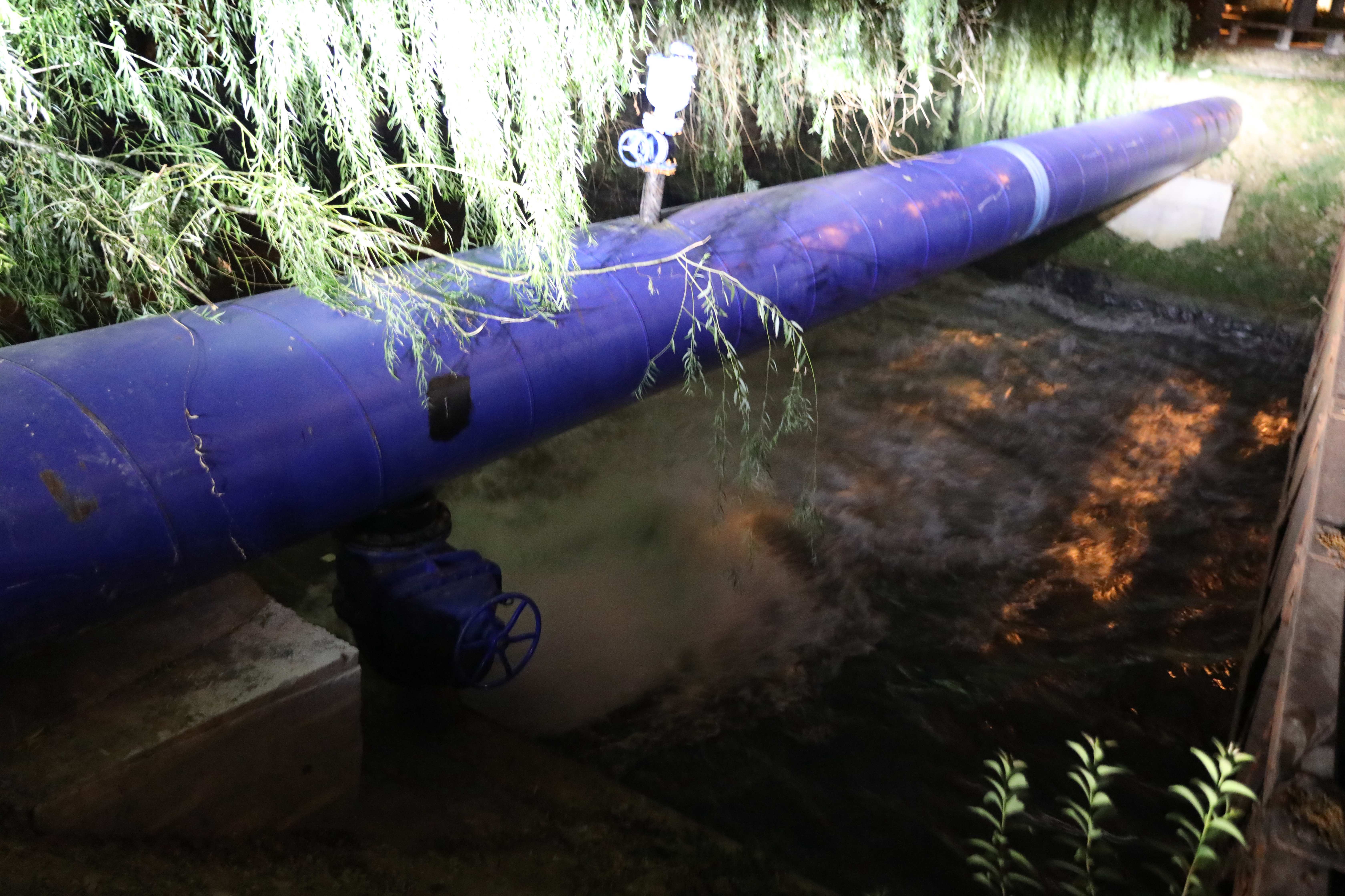 1725867899a407360.jpg 1725867899a407360.jpg