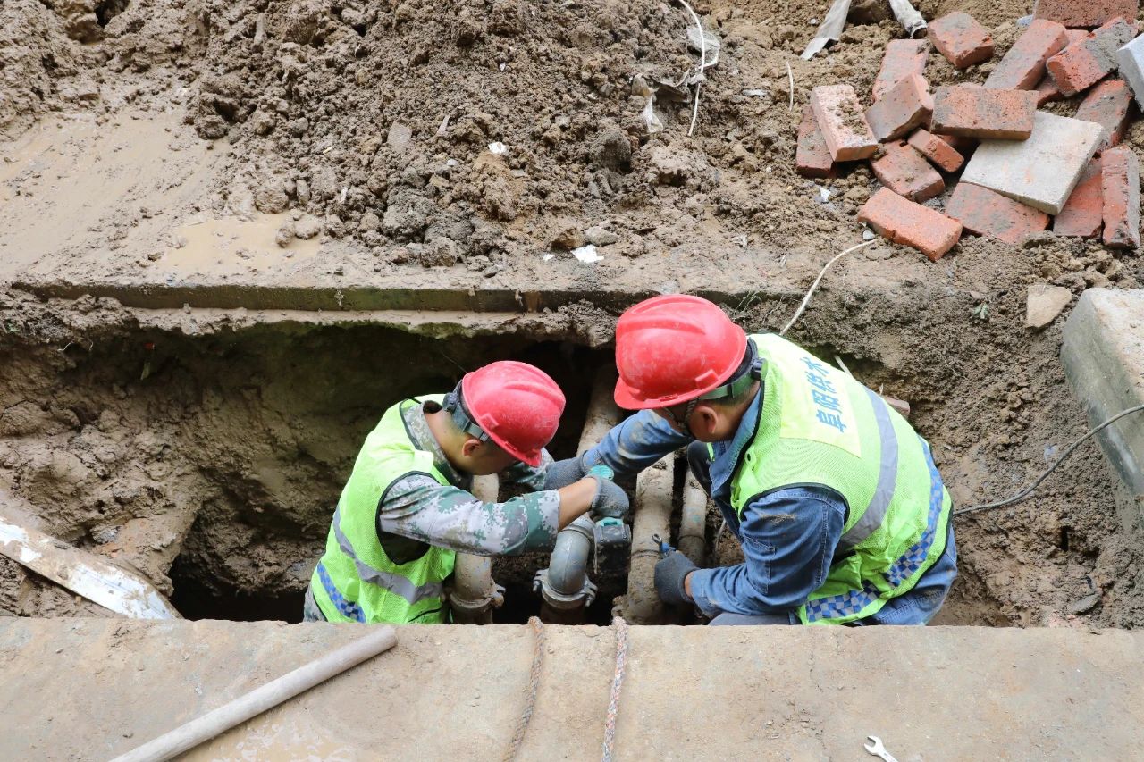 1726367701a895501.jpg 1726367701a895501.jpg