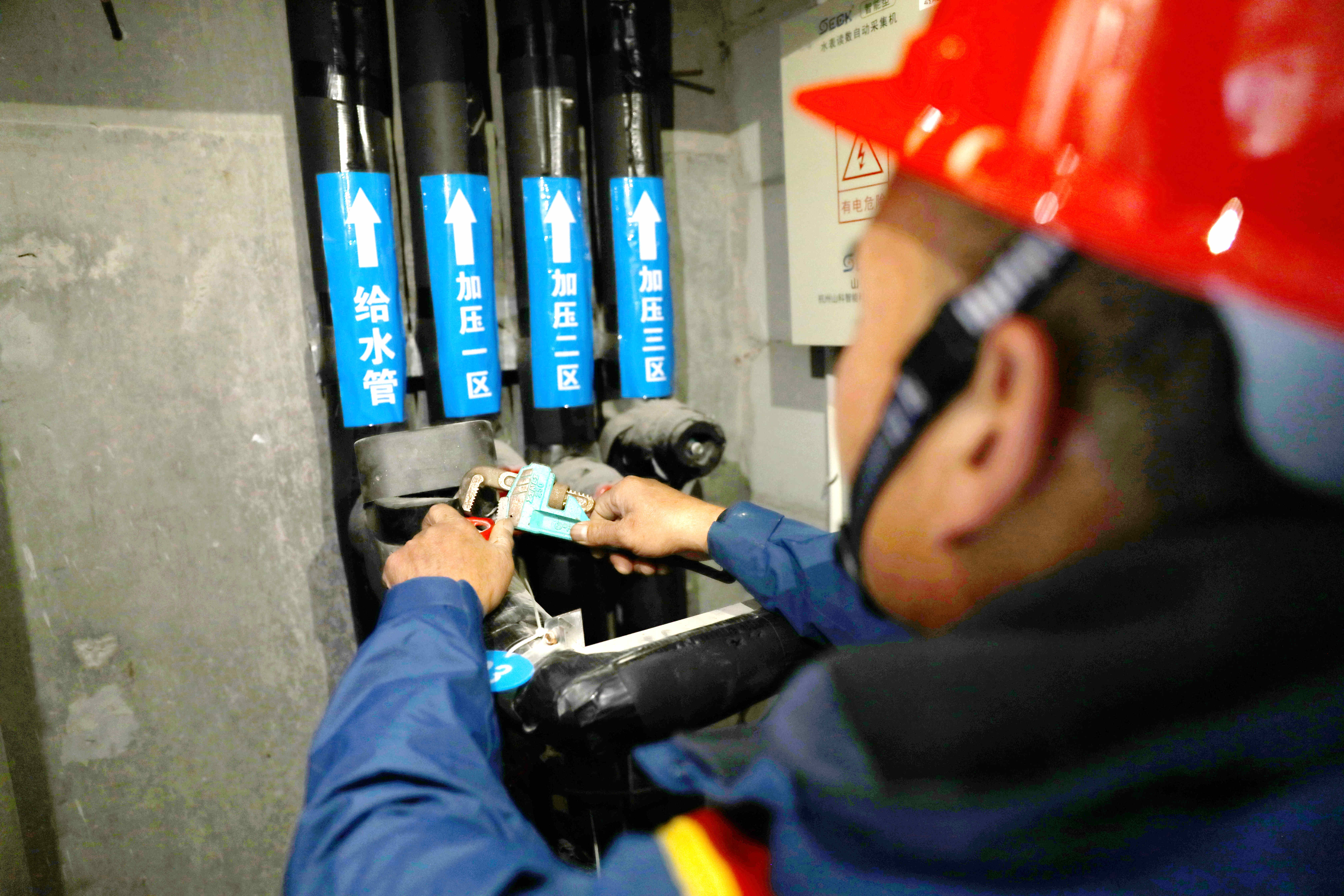 1729848945a244582.jpg 1729848945a244582.jpg