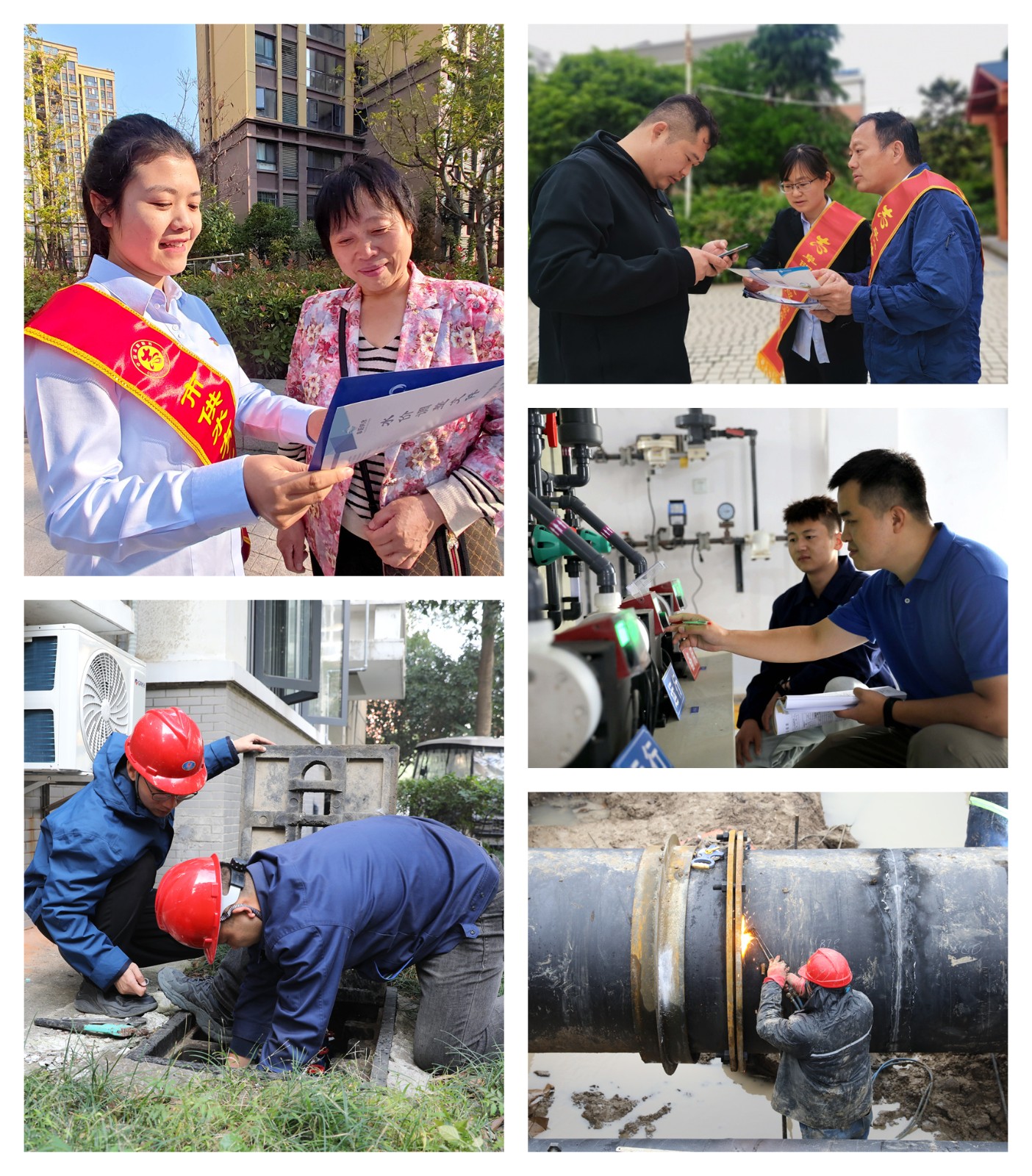 1730452871a124511.jpg 1730452871a124511.jpg