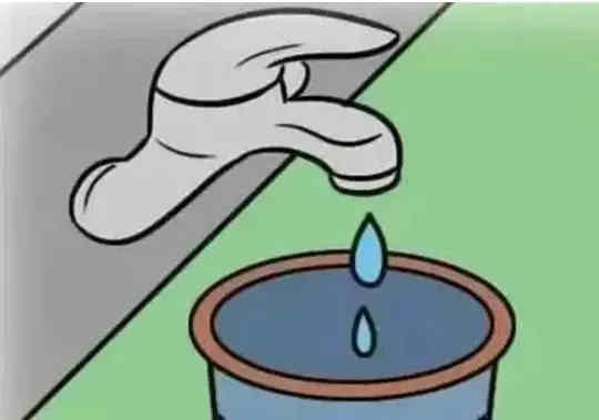 1733709482a617815.jpg 4_副本.jpg