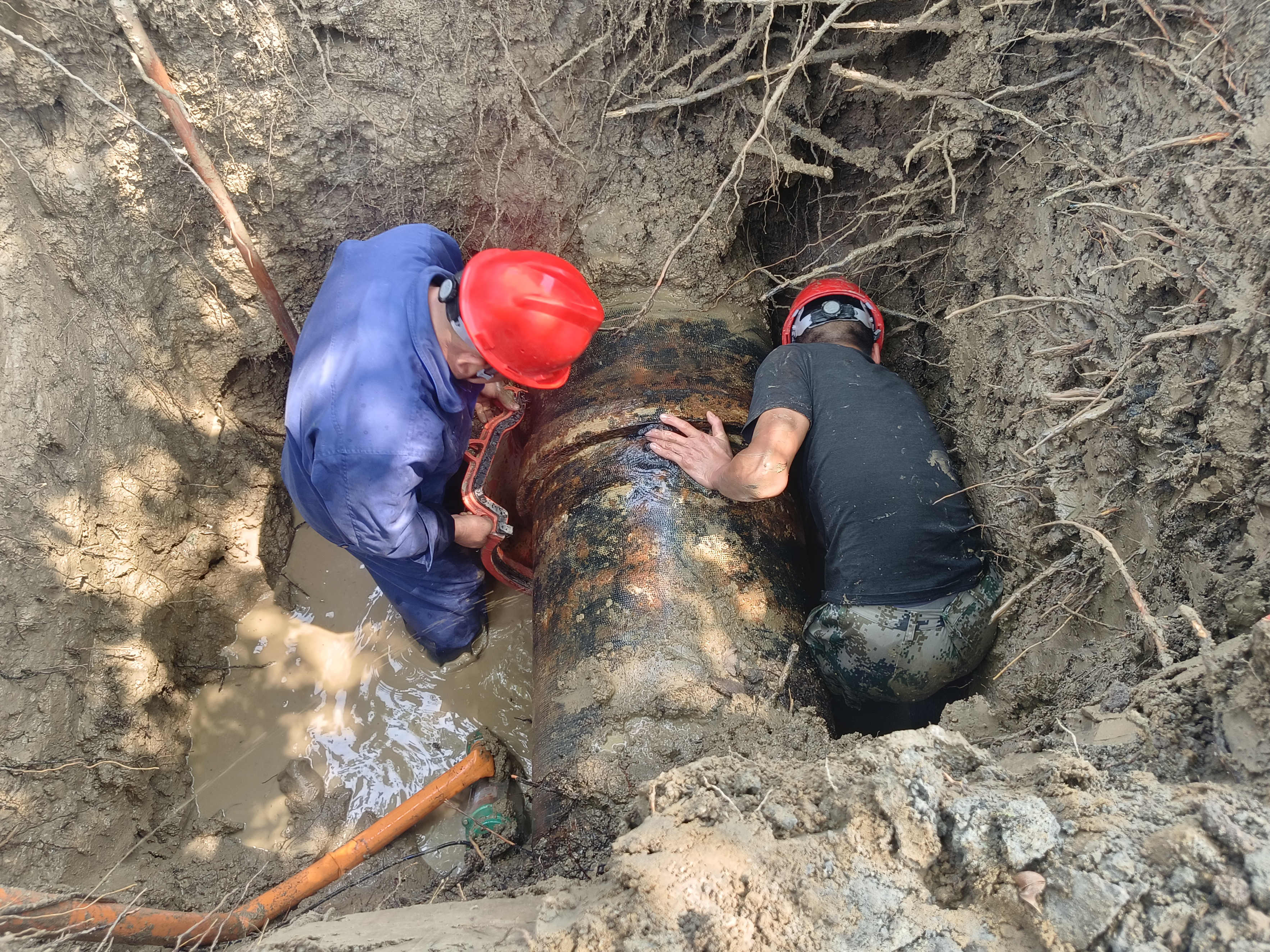 1747815500a908171.jpg 1747815500a908171.jpg