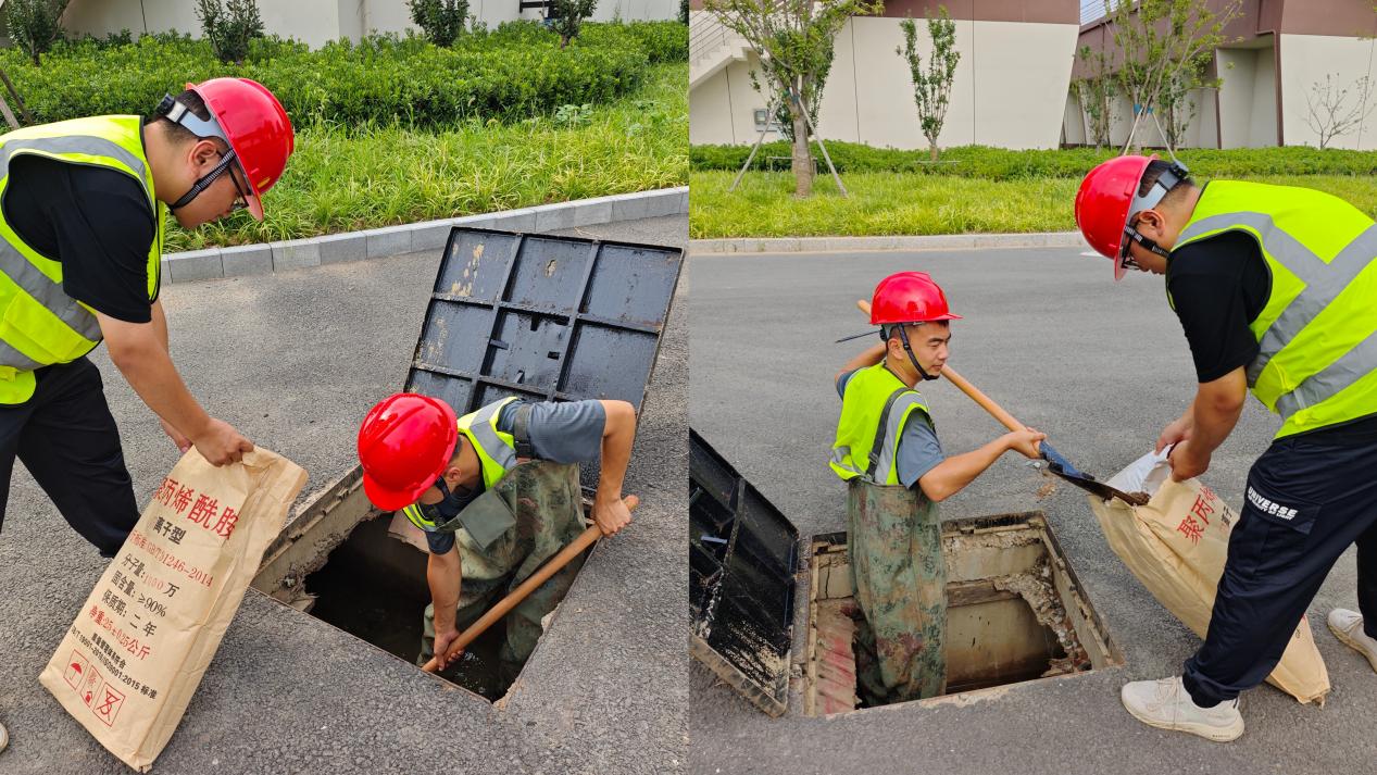 1752713880a902871.jpg 1752713880a902871.jpg